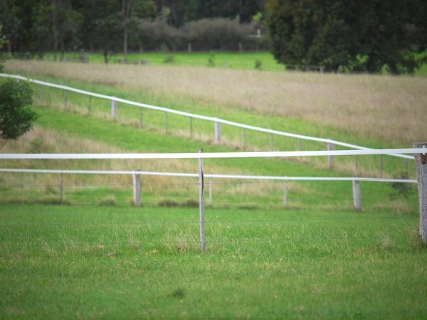 Think Fencing Equirail-White-3